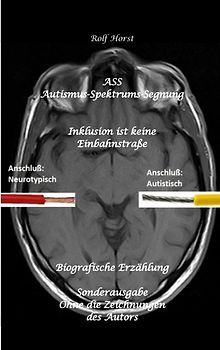 ASS Autismus-Spektrums-Segnung - Inklusion ist keine Einbahnstraße: hochfunktionaler Autismus, Mobbing, Trauma, Sucht, Häusliche Gewalt, Psychotherapie, Umzug, Inklusion, Katholische Kirche, Zen