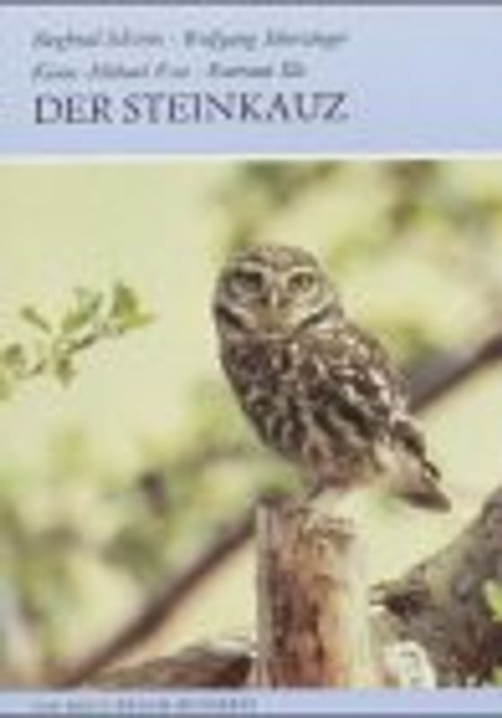 Der Steinkauz. Athene noctua