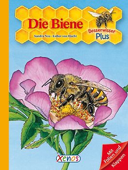 Besserwisser Plus - Die Biene