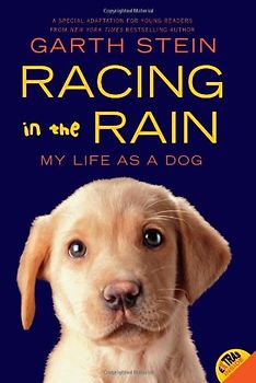 Racing in the Rain: My Life as a Dog - Stein, Garth
