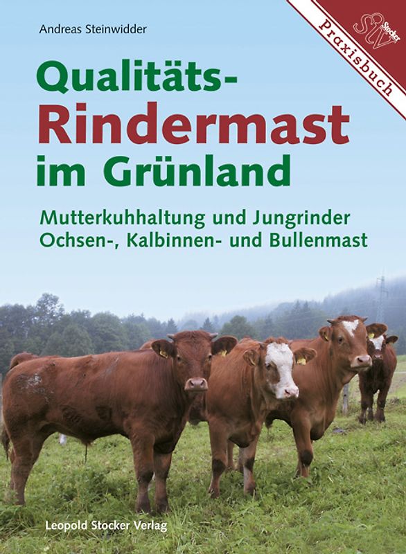 Qualitäts-Rindermast im Grünland