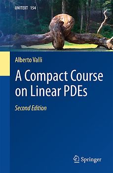 A Compact Course on Linear PDEs