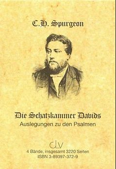 Die Schatzkammer Davids