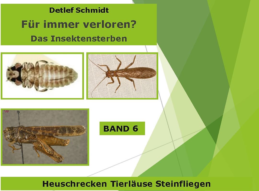 Für immer verloren? Band 6