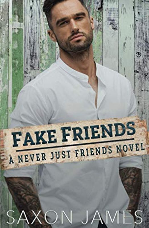 Fake Friends (Never Just Friends, Band 2)