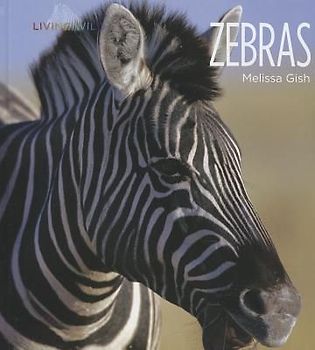 Zebras