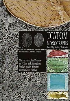 Marine MASTOGLOIA Thwaites ex W. Sm. and Stigmaphora Wallich species from the French Lesser Antilles.