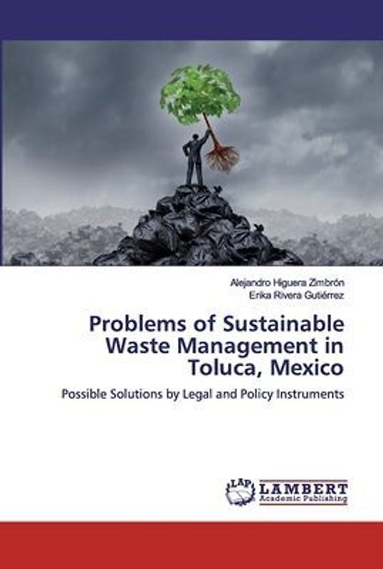 Problems of Sustainable Waste Management in Toluca, Mexico