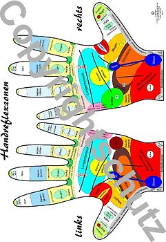 Reflexzonenübersicht - Hände