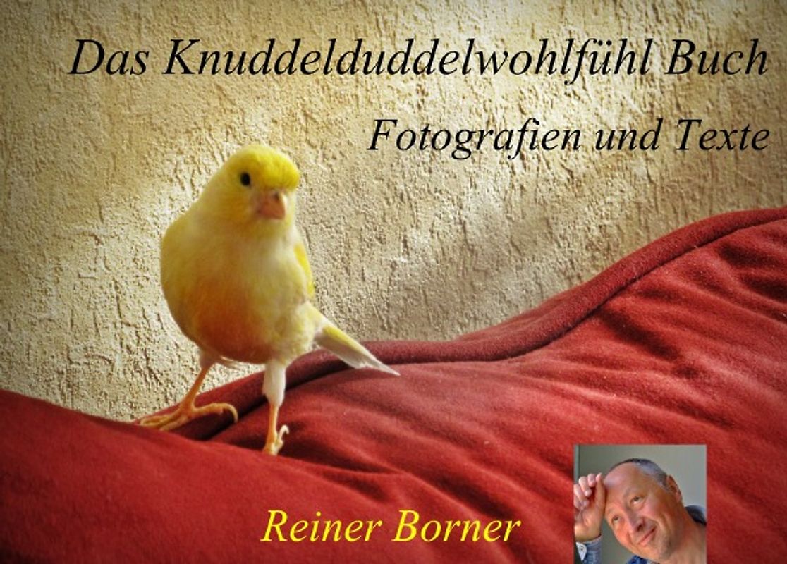Das Wohlfühl Buch / Das Knuddelduddelwohlfühl Buch