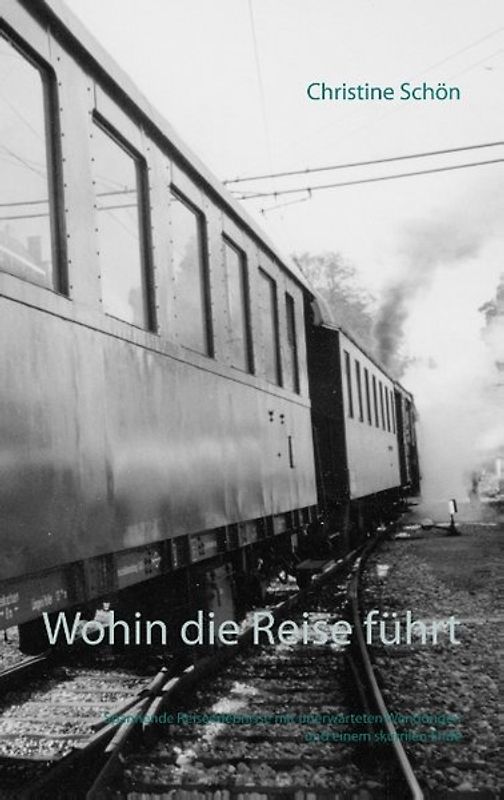 Wohin die Reise führt. Spannende Reiseerlebnisse mit unerwarteten Wendungen und einem skurrilen Ende