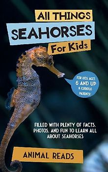 All Things Seahorses For Kids