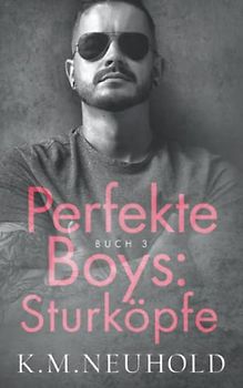 Perfekte Boys: Sturköpfe (Buch 3)