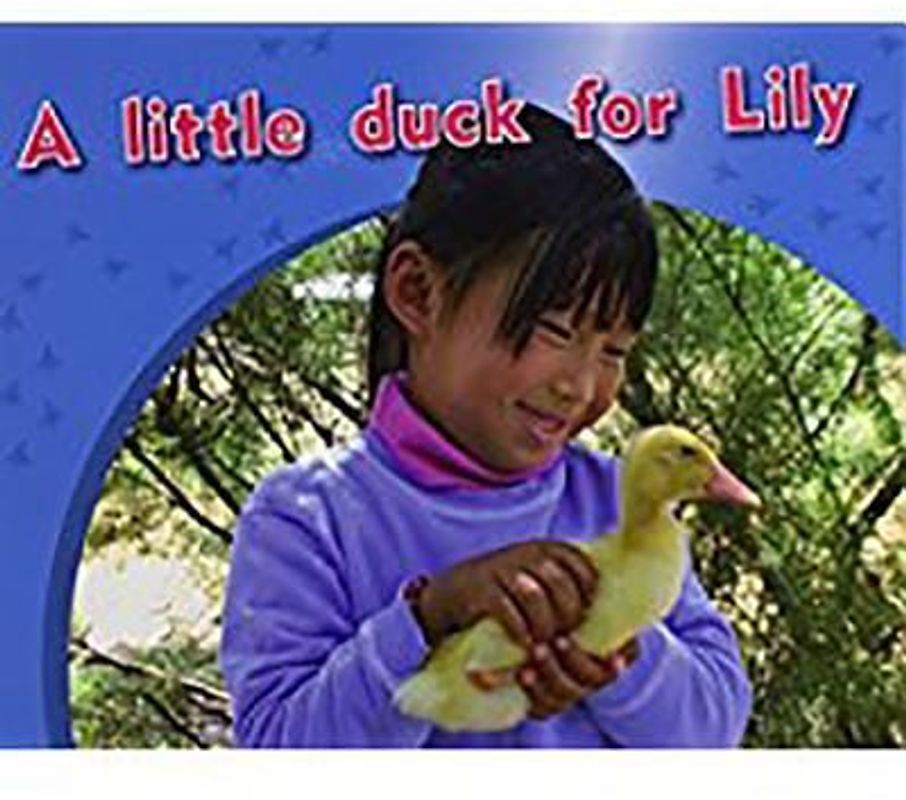A Little Duck for Lily