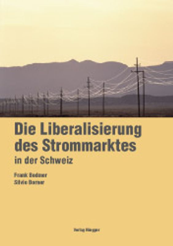 Die Liberalisierung des Strommarktes in der Schweiz
