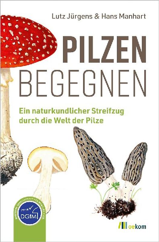 Pilzen begegnen