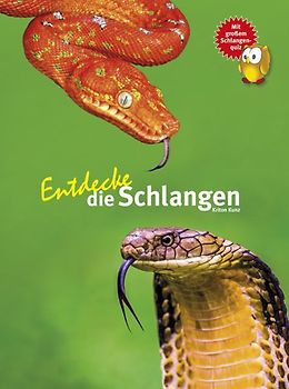 Entdecke die Schlangen