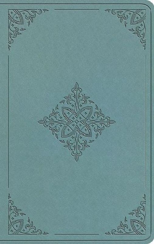 ESV Value Thinline Bible (Trutone, Paris Sky, Fleur-De-Lis Design)