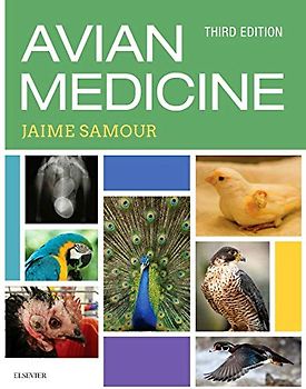 Avian Medicine