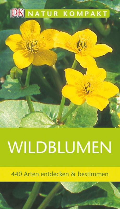 Wildblumen