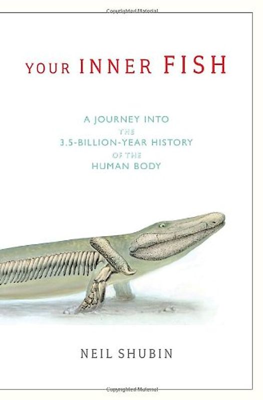 Your Inner Fish - Shubin, Neil