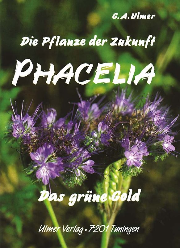 Phacelia. Die Pflanze der Zukunft, das grüne Gold