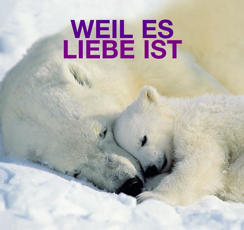 Weil es Liebe ist