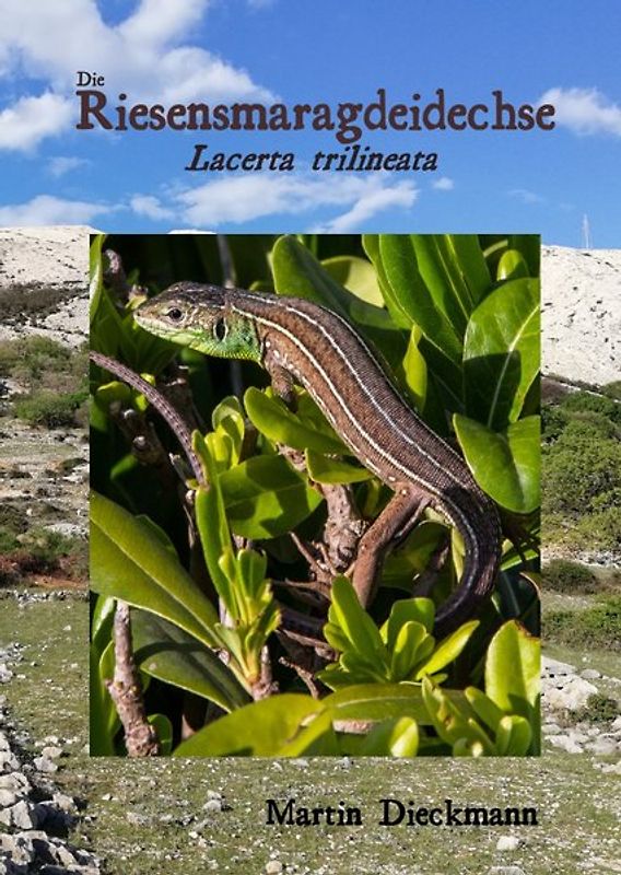 Die Riesensmaragdeidechse