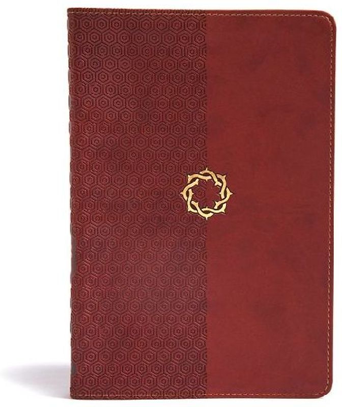 CSB Essential Teen Study Bible, Walnut Leathertouch