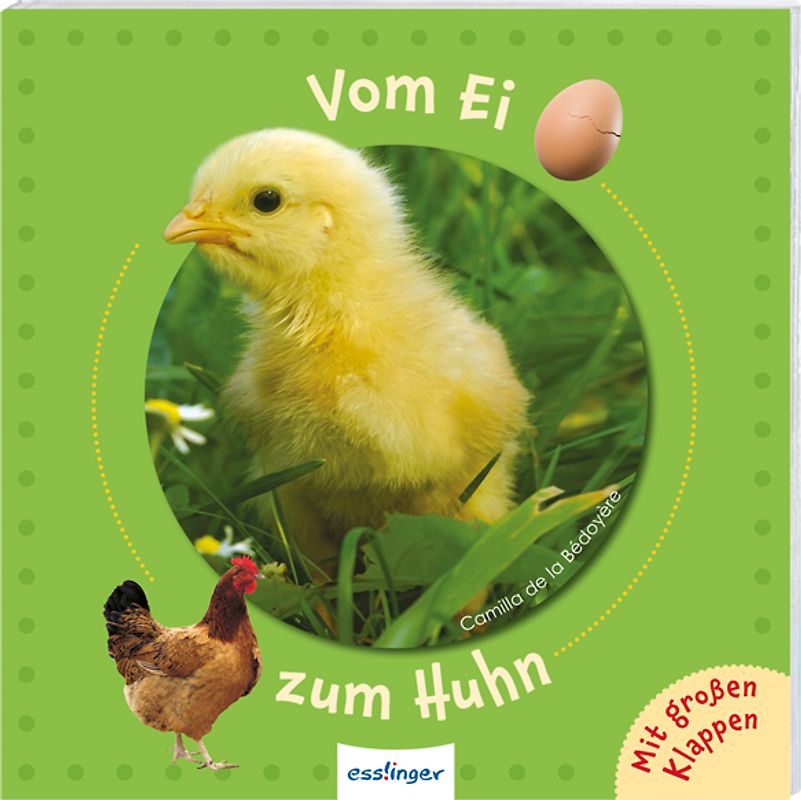 Vom Ei zum Huhn