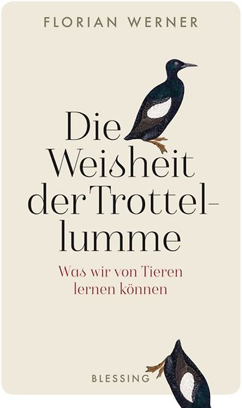 Die Weisheit der Trottellumme