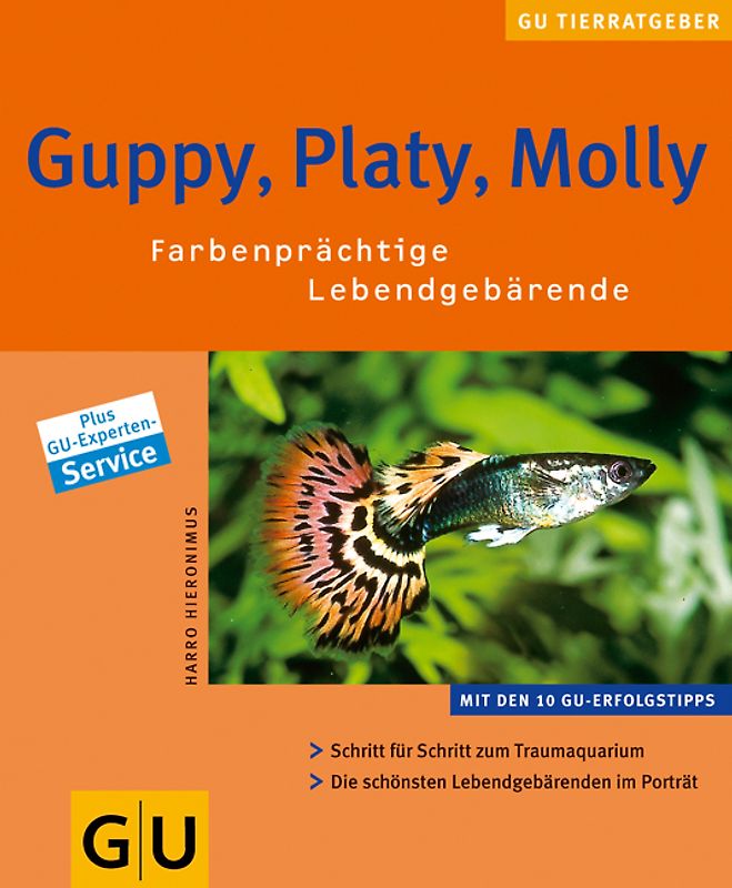 Guppy, Platy, Molly. Farbenprächtige Lebendgebärende