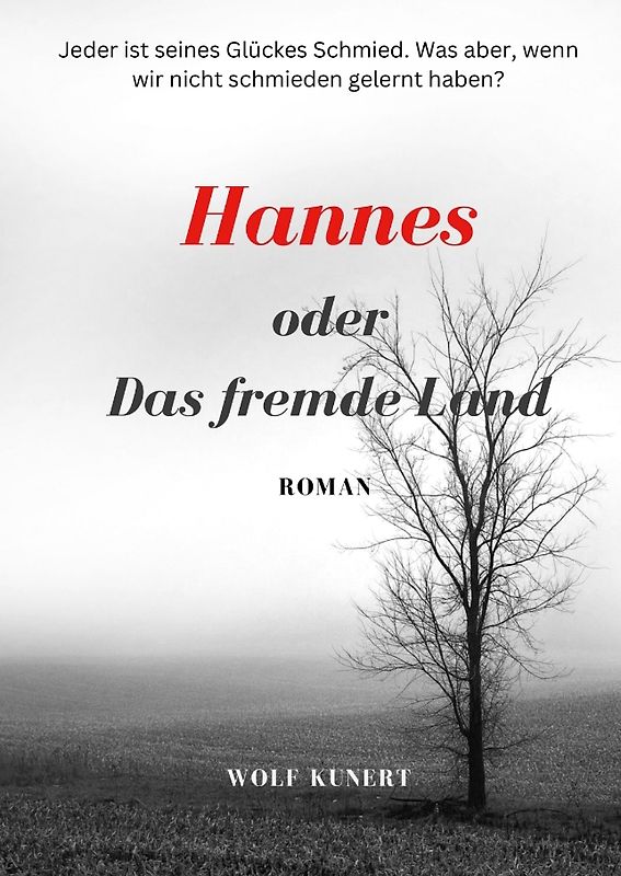 Hannes oder Das fremde Land