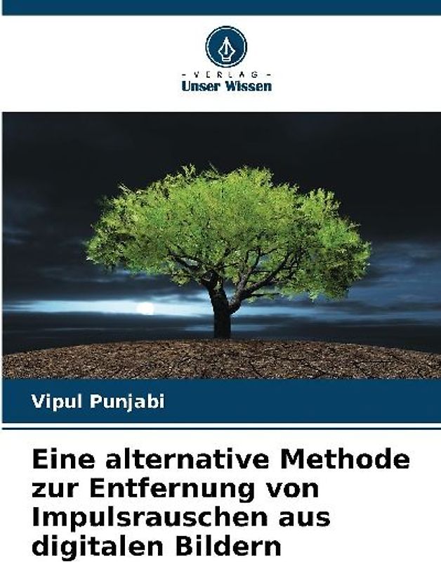 Eine alternative Methode zur Entfernung von Impulsrauschen aus digitalen Bildern