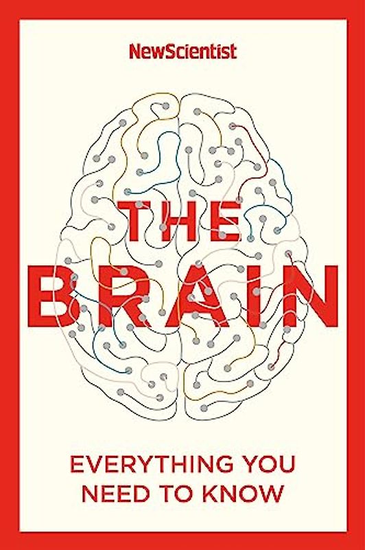 The Brain