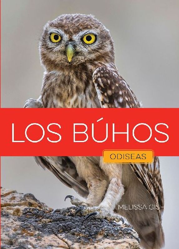 Los Búhos