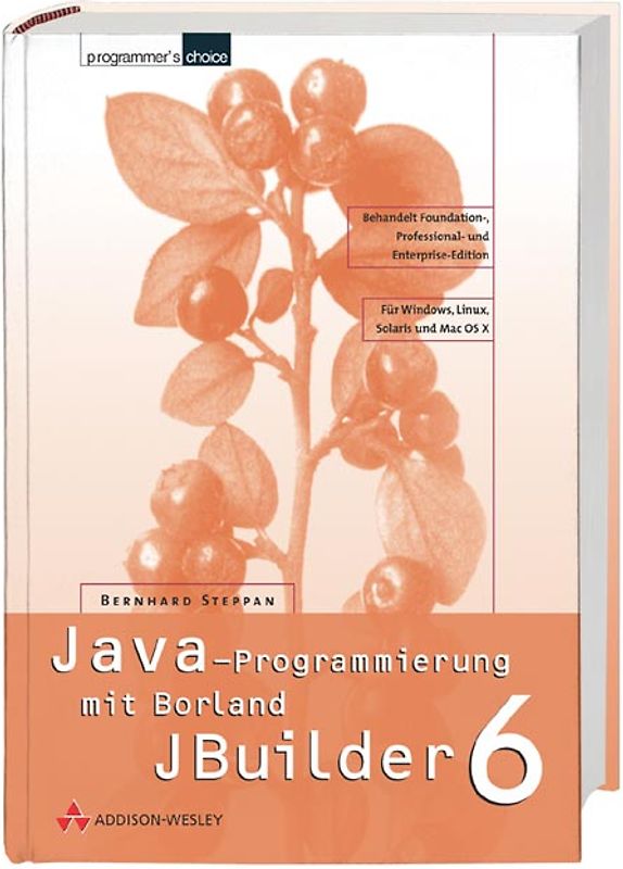 Java-Programmierung mit Borland JBuilder 6