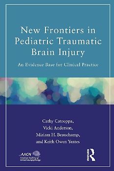 New Frontiers in Pediatric Traumatic Brain Injury