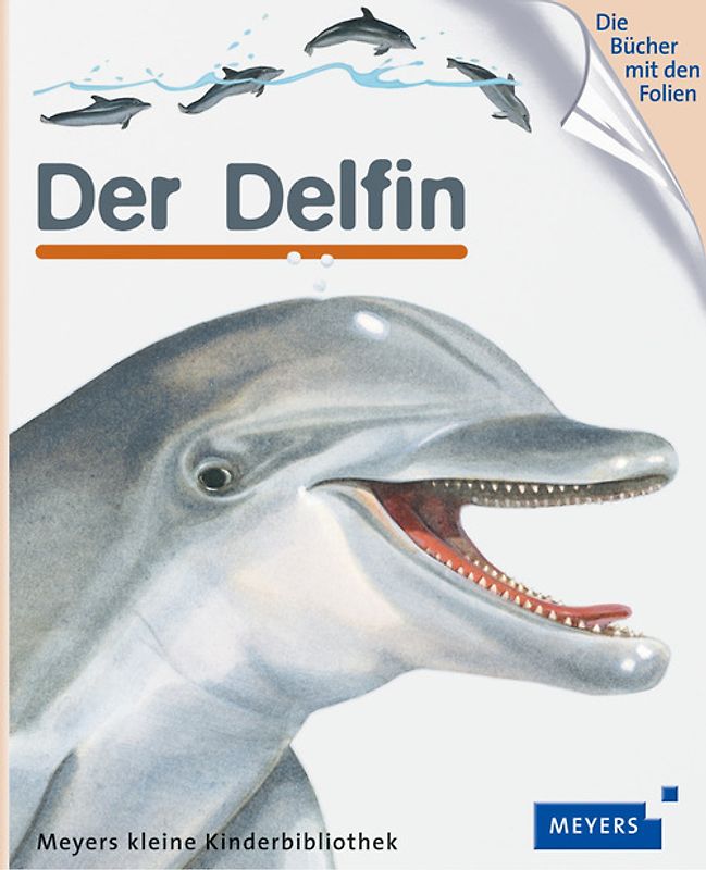 Der Delfin