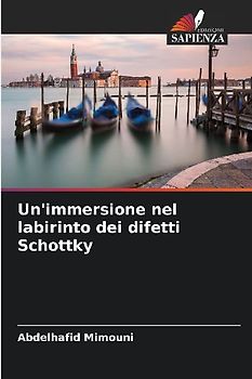 Un'immersione nel labirinto dei difetti Schottky