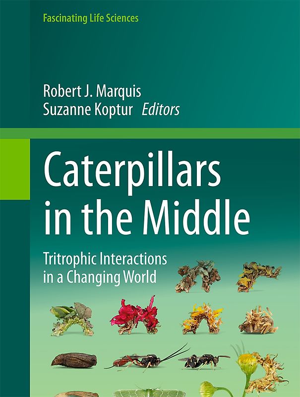 Caterpillars in the Middle