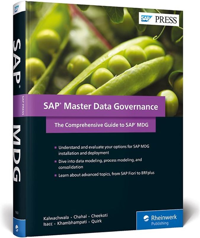 SAP Master Data Governance