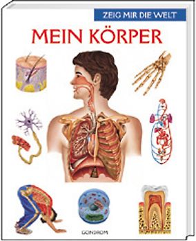 Mein Körper