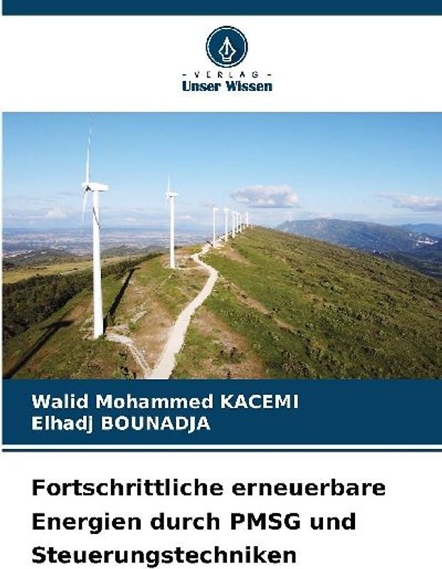 Fortschrittliche erneuerbare Energien durch PMSG und Steuerungstechniken