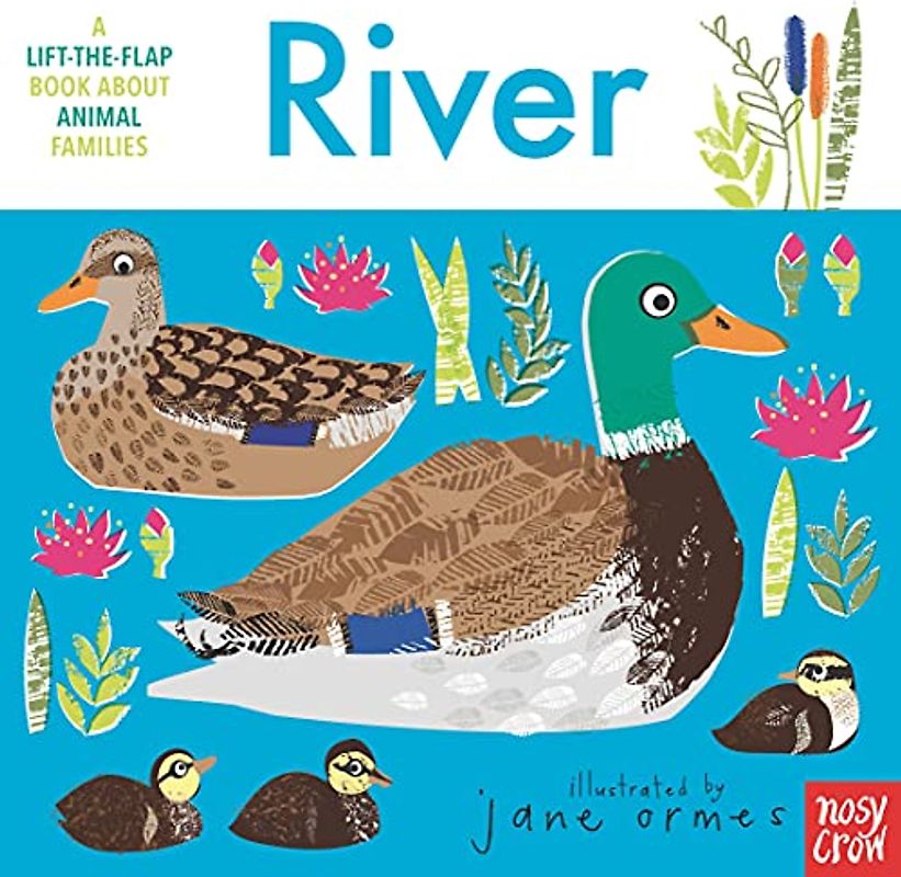 River (Animal Families)