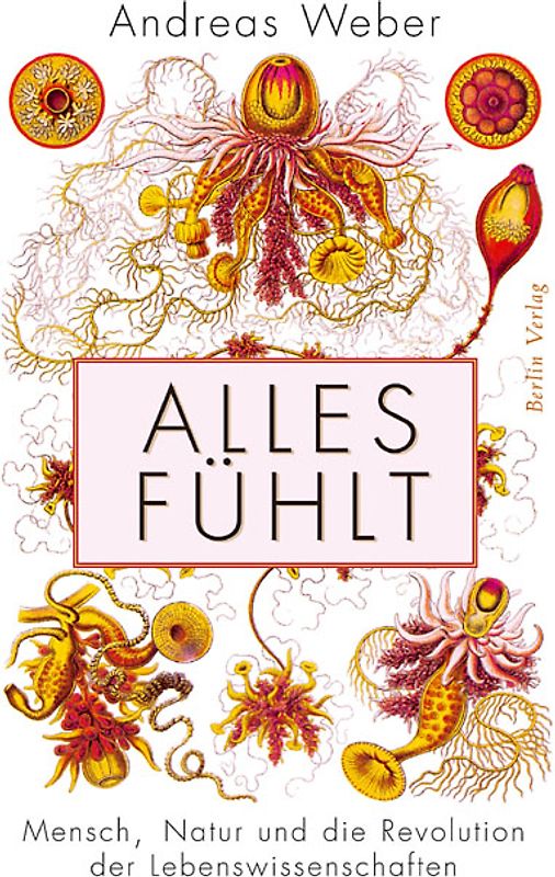 Alles fühlt