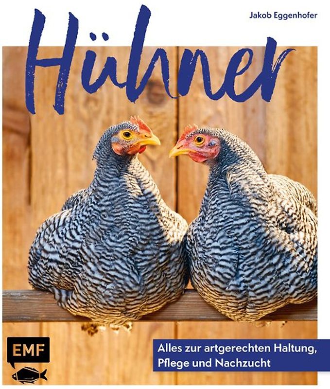 Hühner: Alles zur artgerechten Haltung, Pflege und Nachzucht