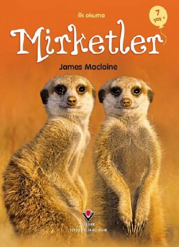 Ilk Okuma - Mirketler