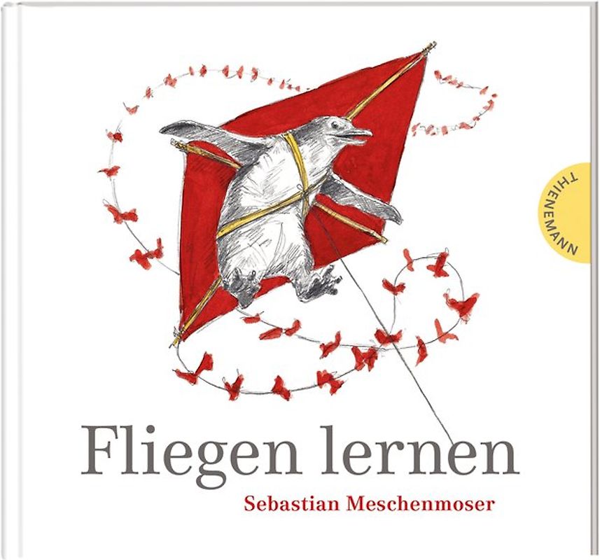 Fliegen lernen