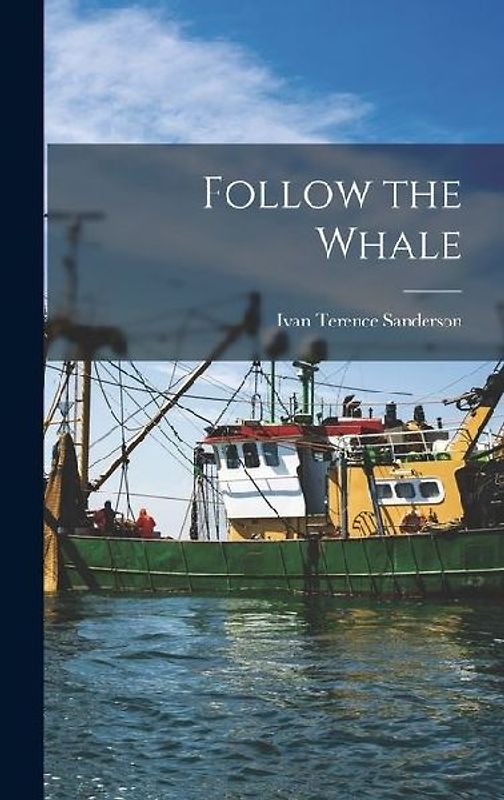 Follow the Whale